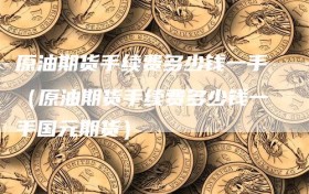 原油期货手续费多少钱一手（原油期货手续费多少钱一手国元期货）