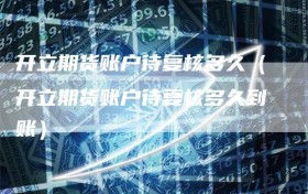 开立期货账户待复核多久（开立期货账户待复核多久到账）