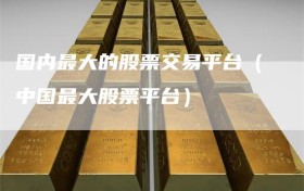 国内最大的股票交易平台（中国最大股票平台）