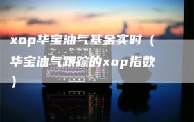 xop华宝油气基金实时（华宝油气跟踪的xop指数）
