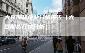 大豆期货企业分析报告（大豆期货行情分析）