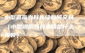 小型道指当月连续如何交易（小型道指当月连续是什么指数）
