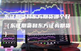 东证期货和东方期货哪个好（东证期货和东方证券期货）