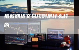 指数期货交易规则是什么样的