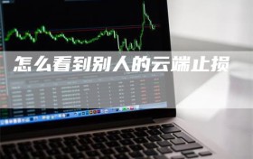 怎么看到别人的云端止损