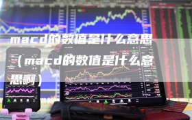macd的数值是什么意思（macd的数值是什么意思啊）