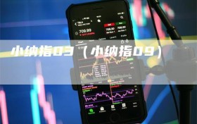 小纳指03（小纳指09）