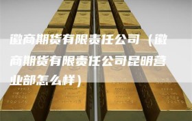 徽商期货有限责任公司（徽商期货有限责任公司昆明营业部怎么样）