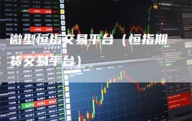 微型恒指交易平台（恒指期货交易平台）