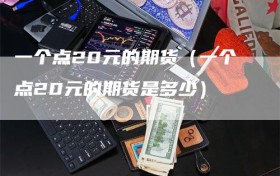一个点20元的期货（一个点20元的期货是多少）