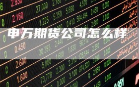 申万期货公司怎么样