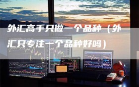 外汇高手只做一个品种（外汇只专注一个品种好吗）