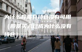为什么股票有持仓没有可用（股票买入已成为什么没有持仓）