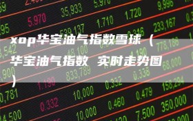 xop华宝油气指数雪球（华宝油气指数 实时走势图）