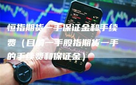 恒指期货一手保证金和手续费（目前一手股指期货一手的手续费和保证金）