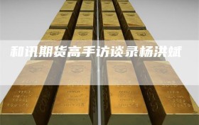 和讯期货高手访谈录杨洪斌