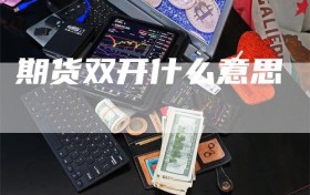 期货双开什么意思