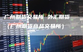 广州期货交易所 外汇期货（广州期货商品交易所）