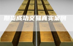 期货成功交易真实案例