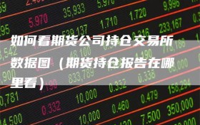 如何看期货公司持仓交易所数据图（期货持仓报告在哪里看）