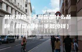 最便宜的一手期货是什么品种（期货品种一手多少钱）