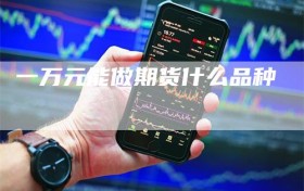 一万元能做期货什么品种