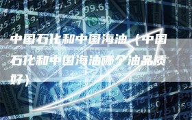 中国石化和中国海油（中国石化和中国海油哪个油品质好）