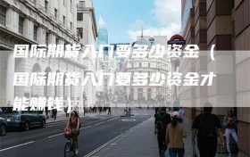 国际期货入门要多少资金（国际期货入门要多少资金才能赚钱）