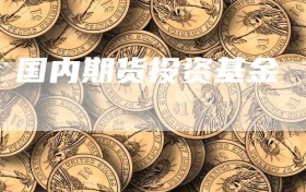 国内期货投资基金