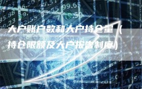 大户账户数和大户持仓量（持仓限额及大户报告制度）