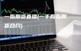 一指期货直播(一手股指期货合约)