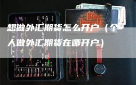 想做外汇期货怎么开户（个人做外汇期货在哪开户）