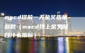 macd提前一天金叉指标参数（macd线上金叉配合什么指标）
