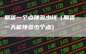 期货一个点赚多少钱（期货一天能挣多少个点）