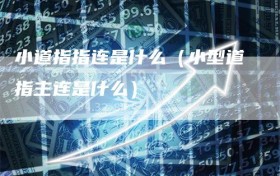 小道指指连是什么（小型道指主连是什么）
