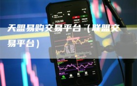 天盟易购交易平台（联盟交易平台）