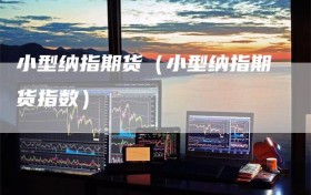 小型纳指期货（小型纳指期货指数）