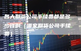 各大期货公司手续费都是多少钱啊（哪家期货公司手续费）