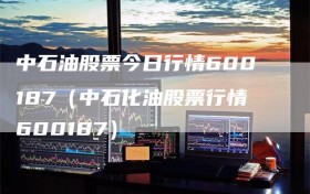 中石油股票今日行情600187（中石化油股票行情600187）