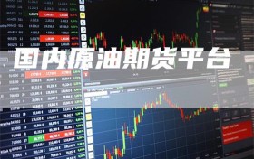 国内原油期货平台