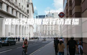 最新豆粕期货行情直播