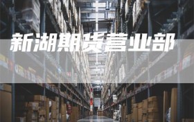 新湖期货营业部