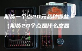 期货一个点20元品种哪些（期货20个点是什么意思）