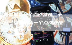 哪些期货一个点涨跌是二十元（哪些期货一个点涨跌是二十元钱）