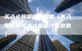 买入止损是什么意思（买入限价与买入止损是什么意思）