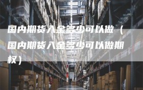 国内期货入金多少可以做（国内期货入金多少可以做期权）