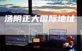 汤阴正大国际地址