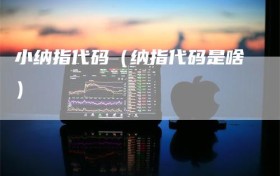 小纳指代码（纳指代码是啥）