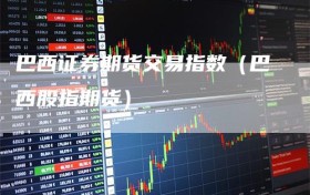 巴西证券期货交易指数（巴西股指期货）