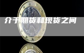 介于期货和现货之间